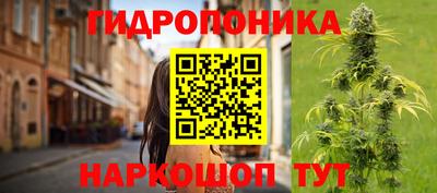 шишки Ярцево