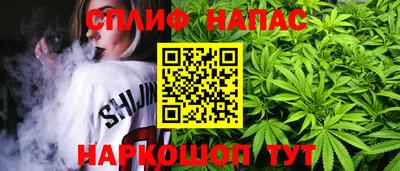 спиды Ярославль