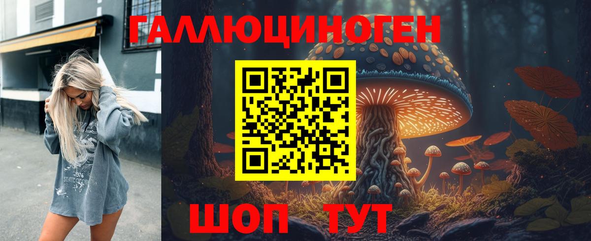 купить наркоту  Вход с VPN  Саяногорск  Галлюциногенные грибы GOLDEN TEACHER 